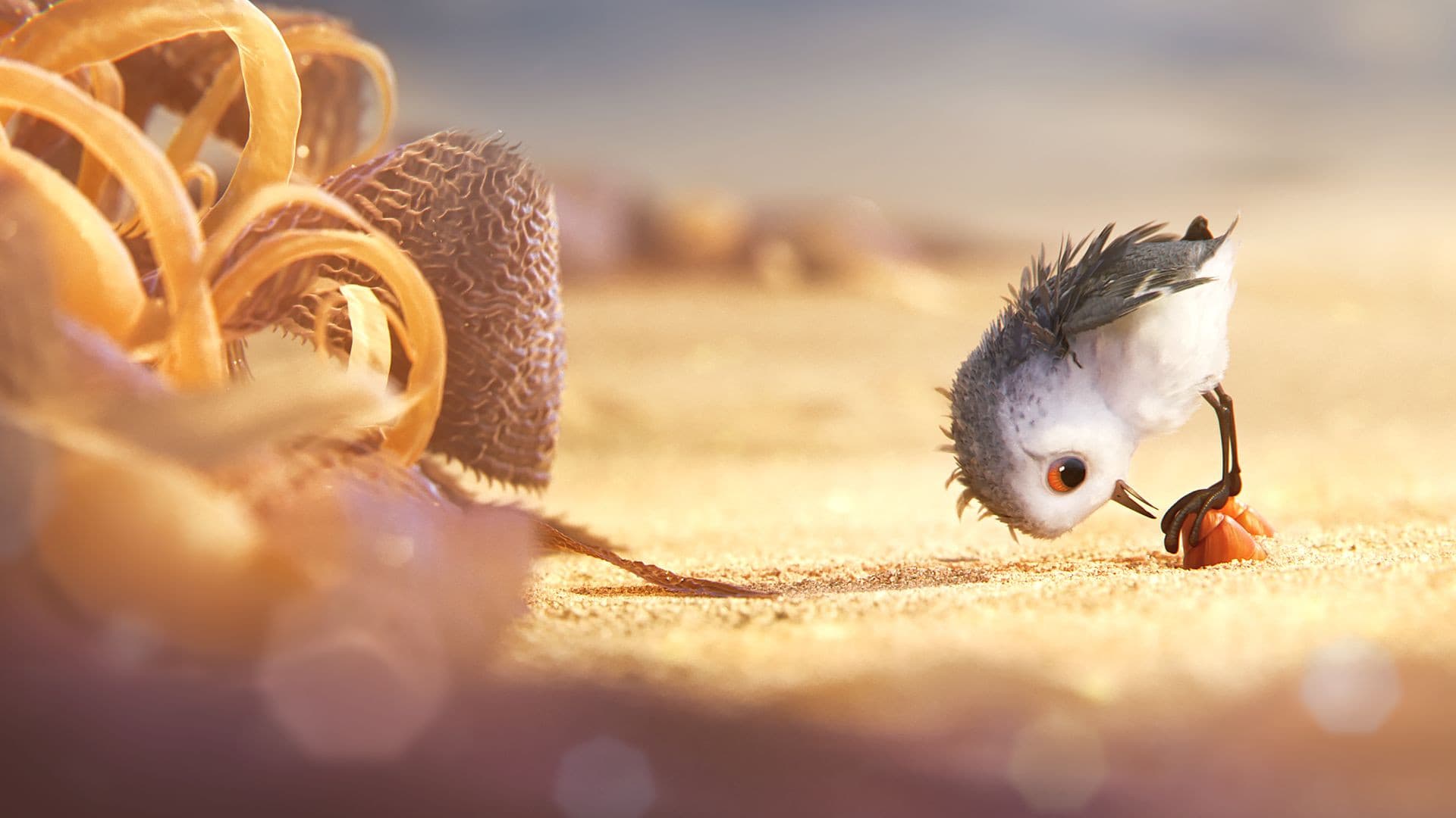 Piper / Пайпър