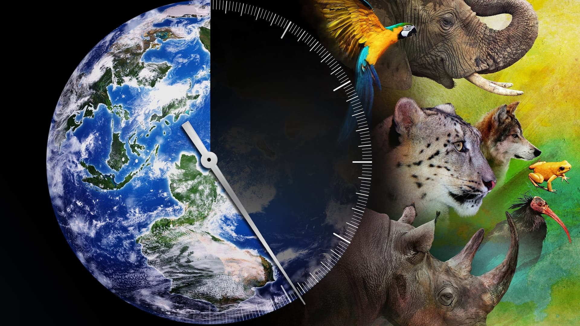 Racing Extinction / Състезателно изчезване