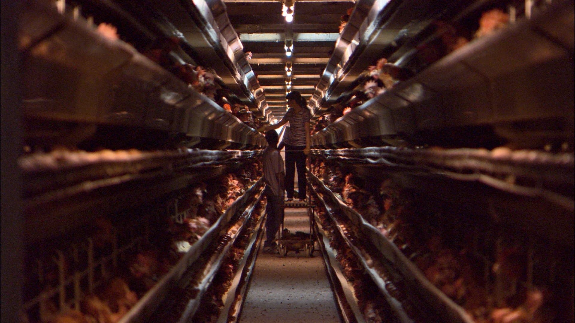 Unser täglich Brot / Хляб наш насъщни