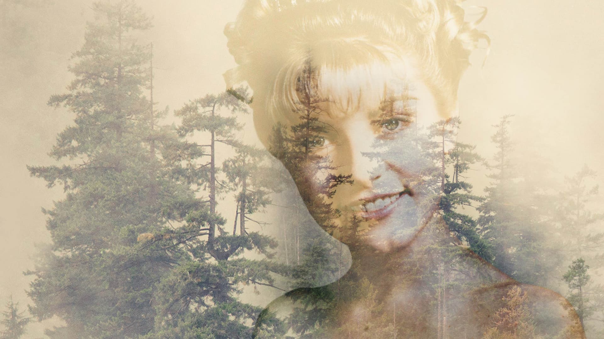 Туин Пийкс - Сезон 1