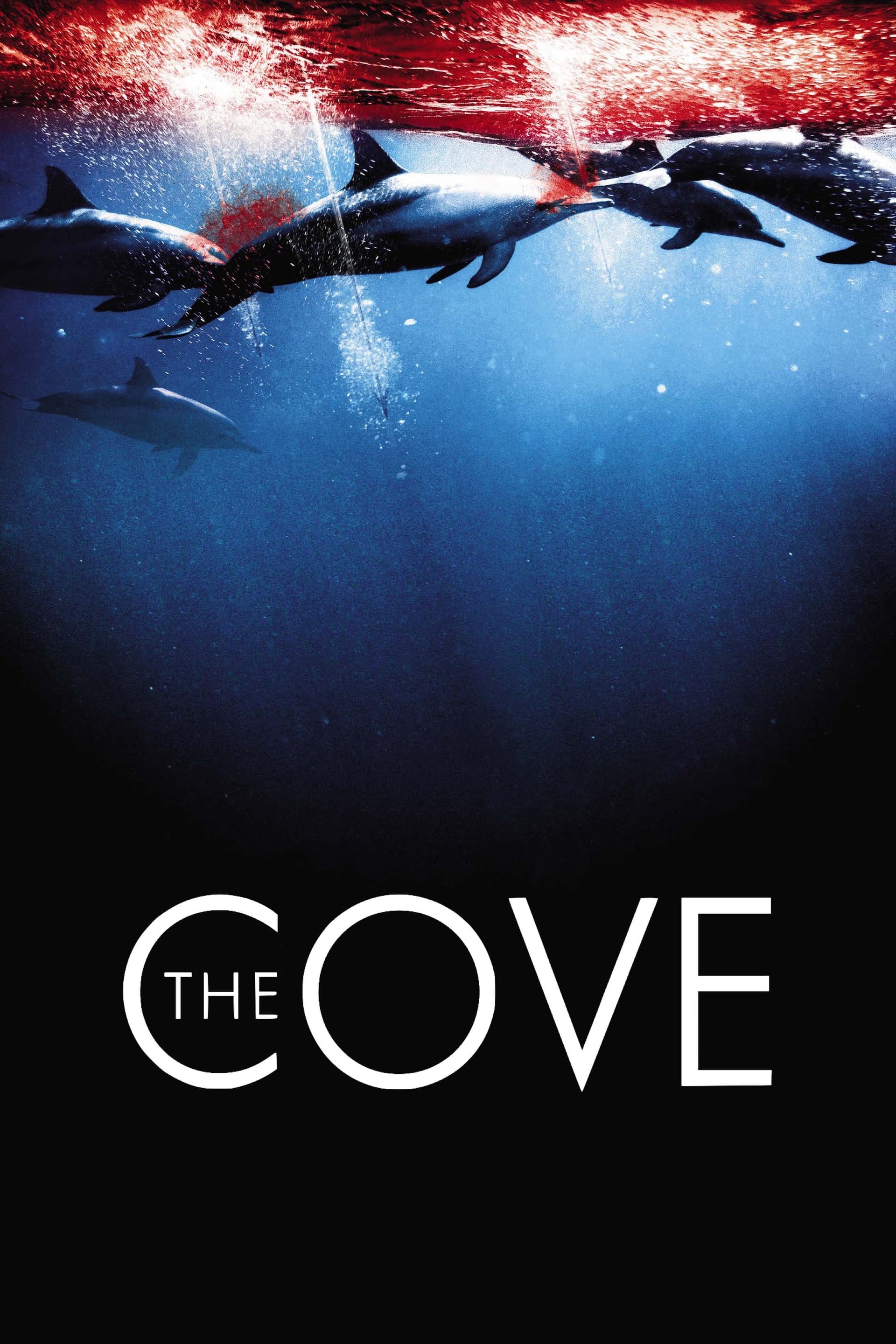 The Cove / Плитки води, дълбоки тайни