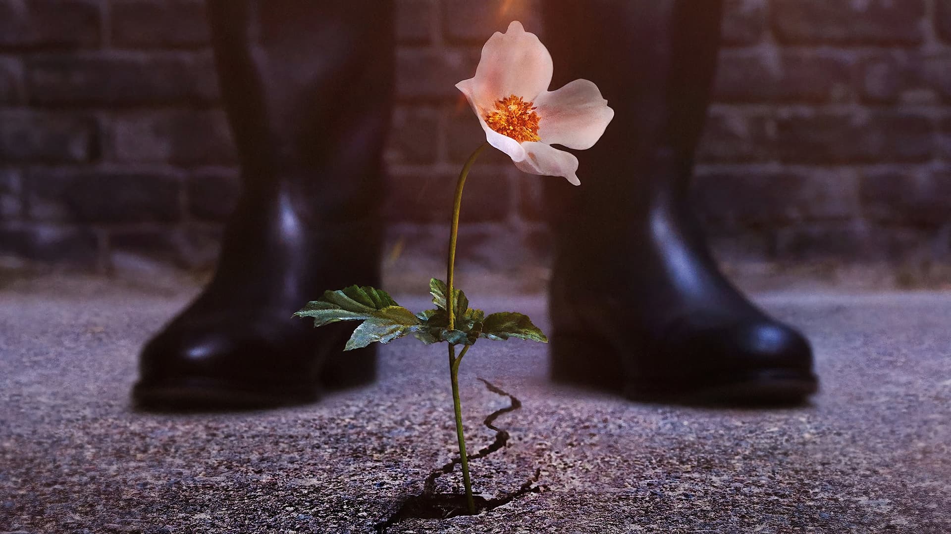 The Man in the High Castle Season 1 / Човекът във високия замък - Сезон 1