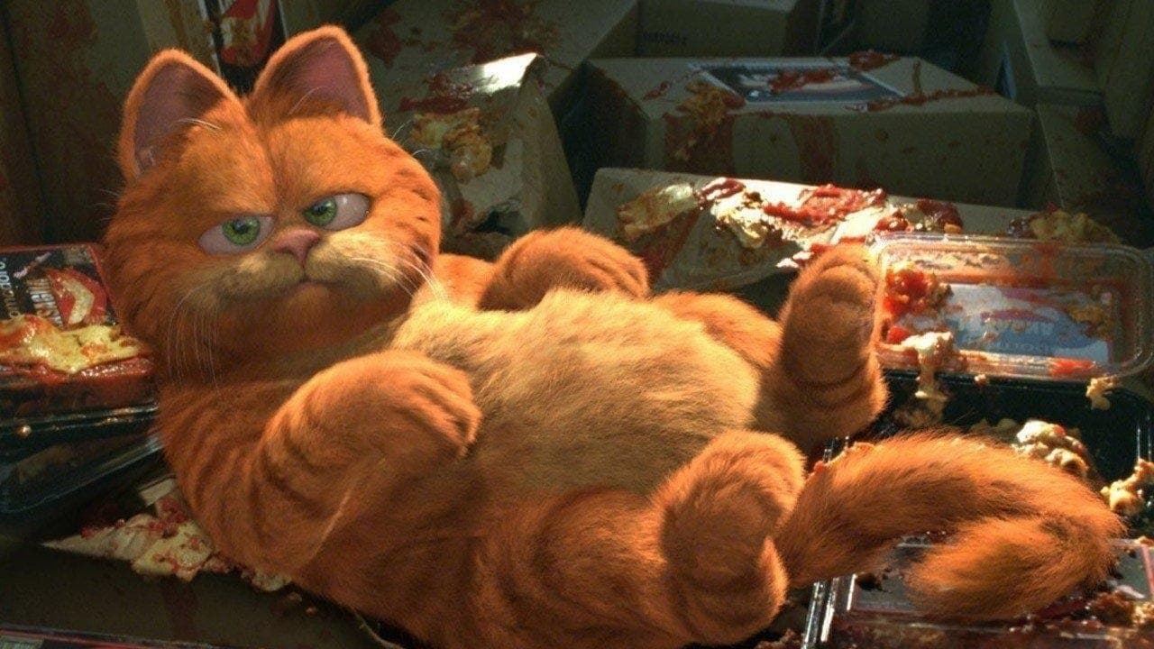 Garfield / Гарфийлд