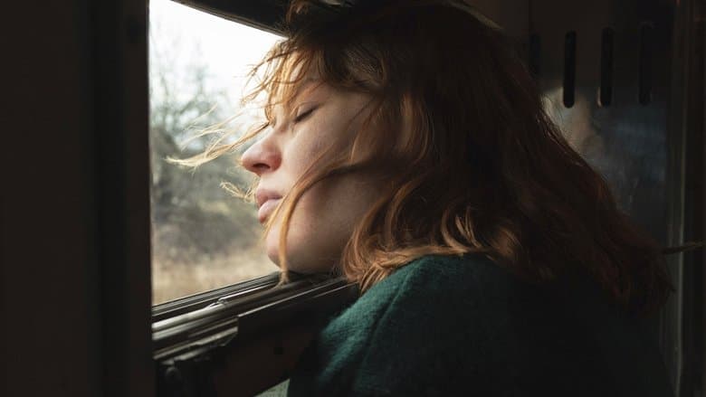 Compartment Number 6 / Купе номер 6 (2021)