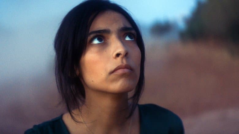 Animalia / Анималия (2023)