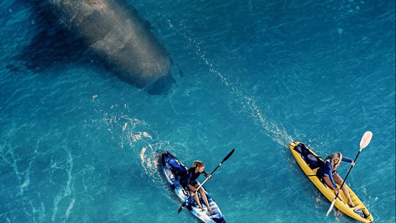 The Reef: Stalked / Рифът: Преследвани (2022)