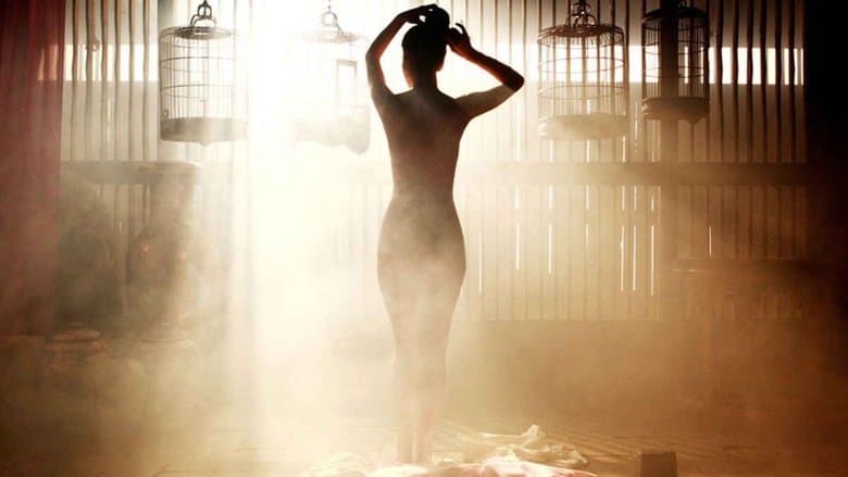 Portrait of a Beauty / Miindo / Портрет на красотата (2008)