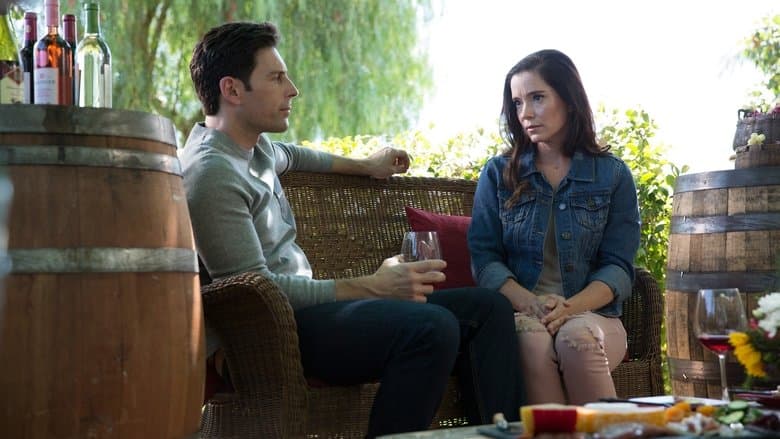 Eyewitness / Умисъл за убийство / Ex-Wife Killer (2017) BG AUDIO