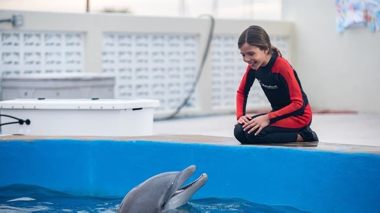 Bernie the Dolphin 2 / Делфинът Бърни 2 (2019)