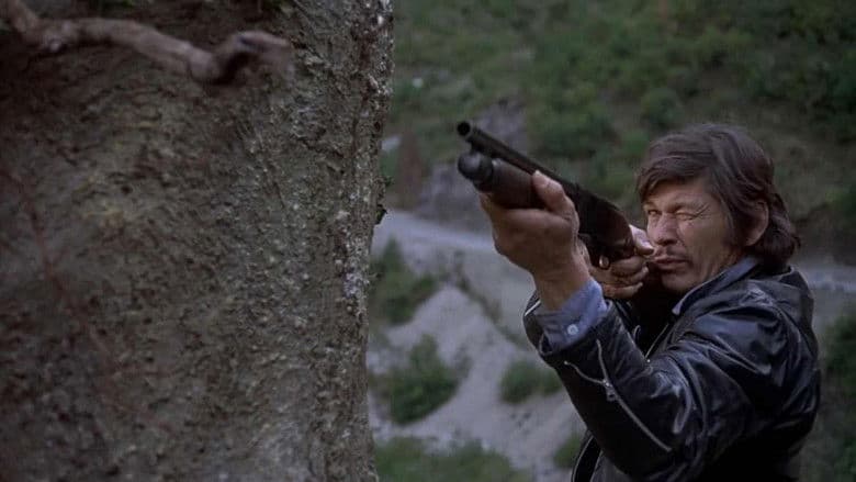 The Mechanic / Механикът (1972)