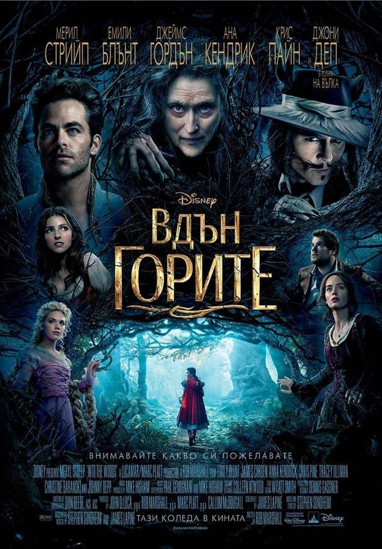 Into the Woods / Вдън горите 2014 BG AUDIO
