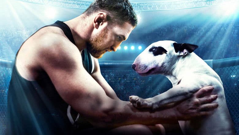  Bullterrier / Бултериер (2022)