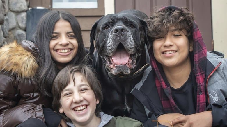 Dog Patrol: Operation Santa Paws / Кучешки патрул: Операция „Лапи на Дядо Коледа