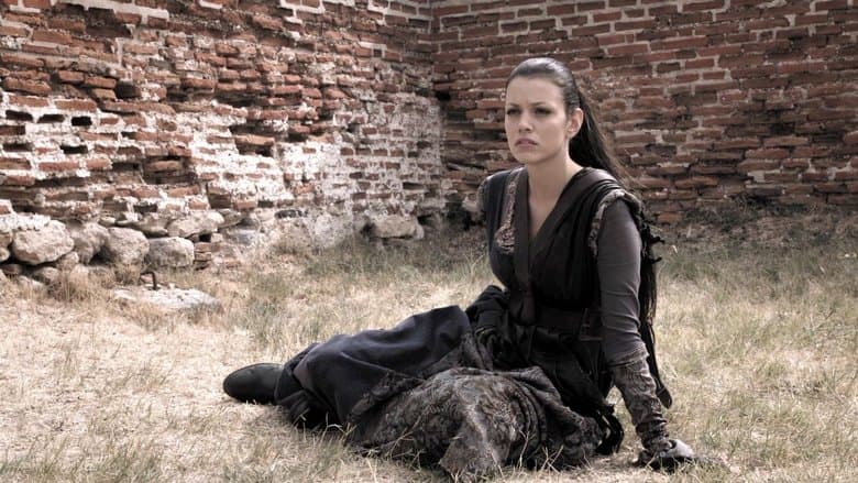 In the Name of the King 3 / В името на краля 3 (2014) BG AUDIO