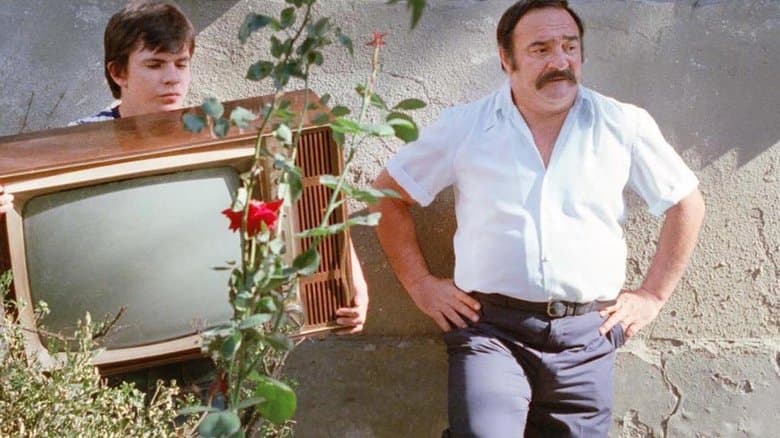 Varljivo leto '68 / Измамното лято на '68-а (1984)