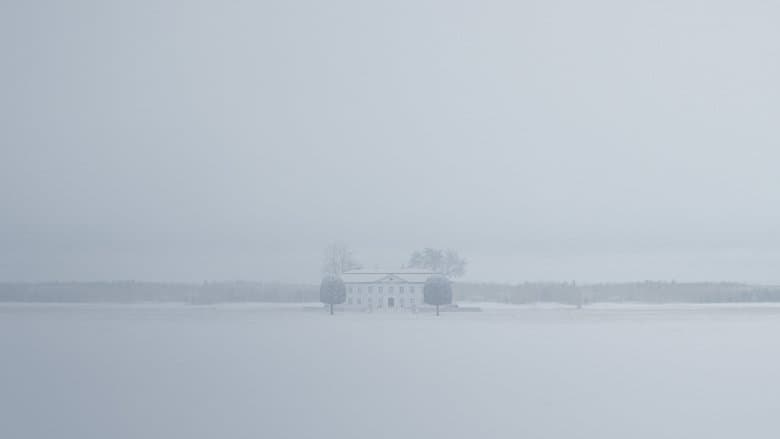 The Girl with the Dragon Tattoo / Мъжете, които мразеха жените (2011) BG AUDIO