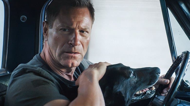 Muzzle: City of Wolves / Муцуна: Град на вълците