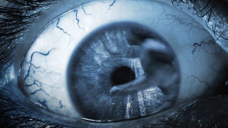 KM 31: Kilometro 31 / Километър 31 (2006)