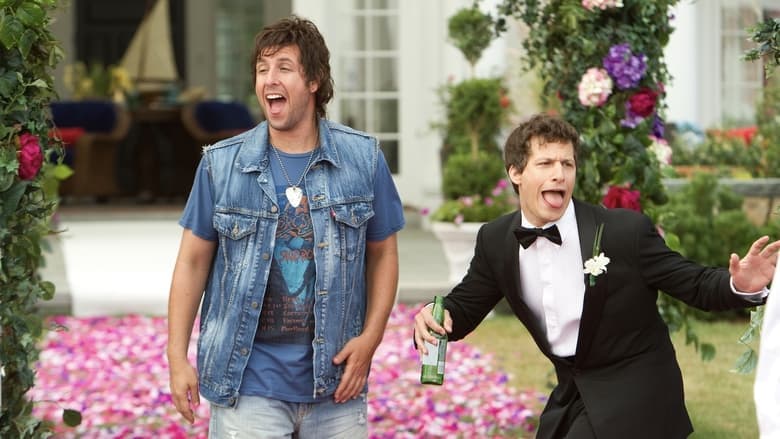 That's My Boy / Браво, момчето ми! (2012) BG AUDIO