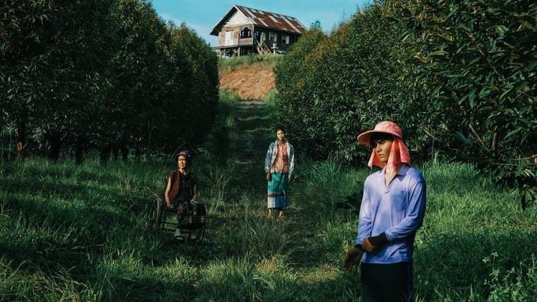 The Paradise of Thorns / Раят на тръните (2024)