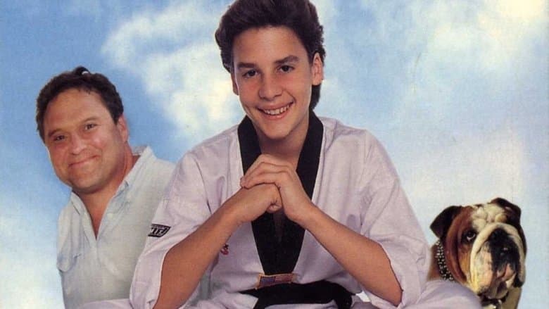 Magic Kid 2 / Нинджа Дракон 2 (1994) BG AUDIO