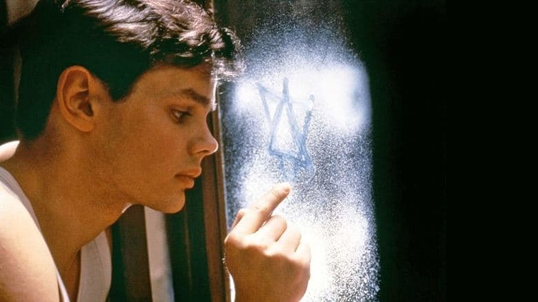 Hitlerjunge Salomon / Соломон от Хитлеровата младеж (1990)