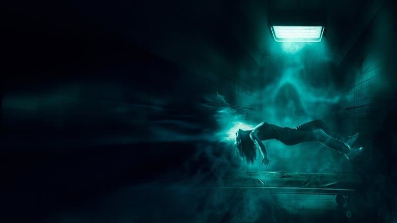 Double Blind / Остани буден (2024)