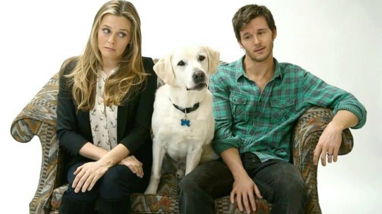 Who Gets the Dog? / Кой ще вземе кучето? (2016)