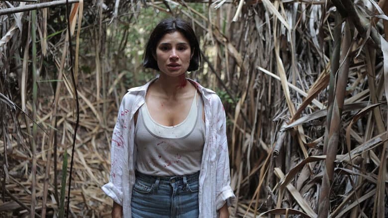 The Whistler / Уистлър