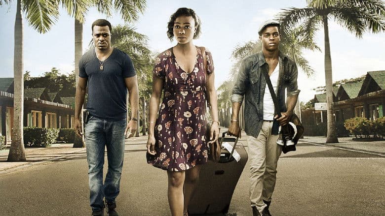 Home Again / В непозната родина (2012) BG AUDIO