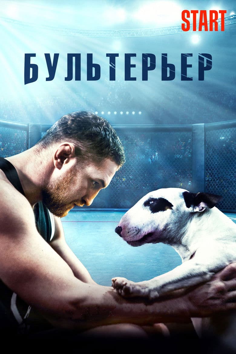  Bullterrier / Бултериер (2022)