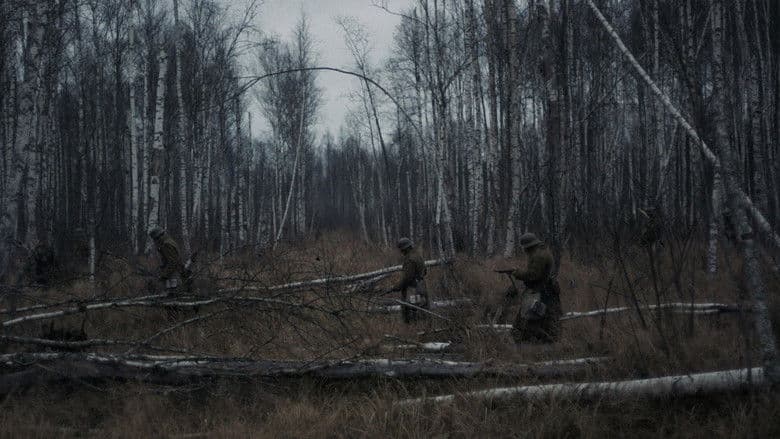 Natural Light / Termeszetes feny / Естествена светлина (2021)