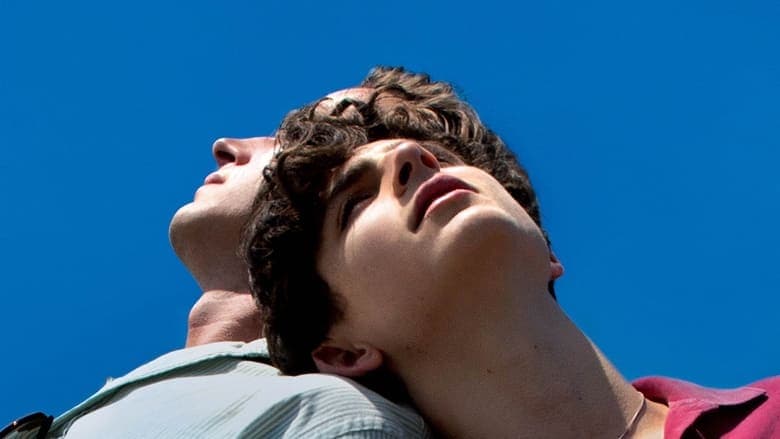Call Me by Your Name / Призови ме с твоето име (2017) BG AUDIO