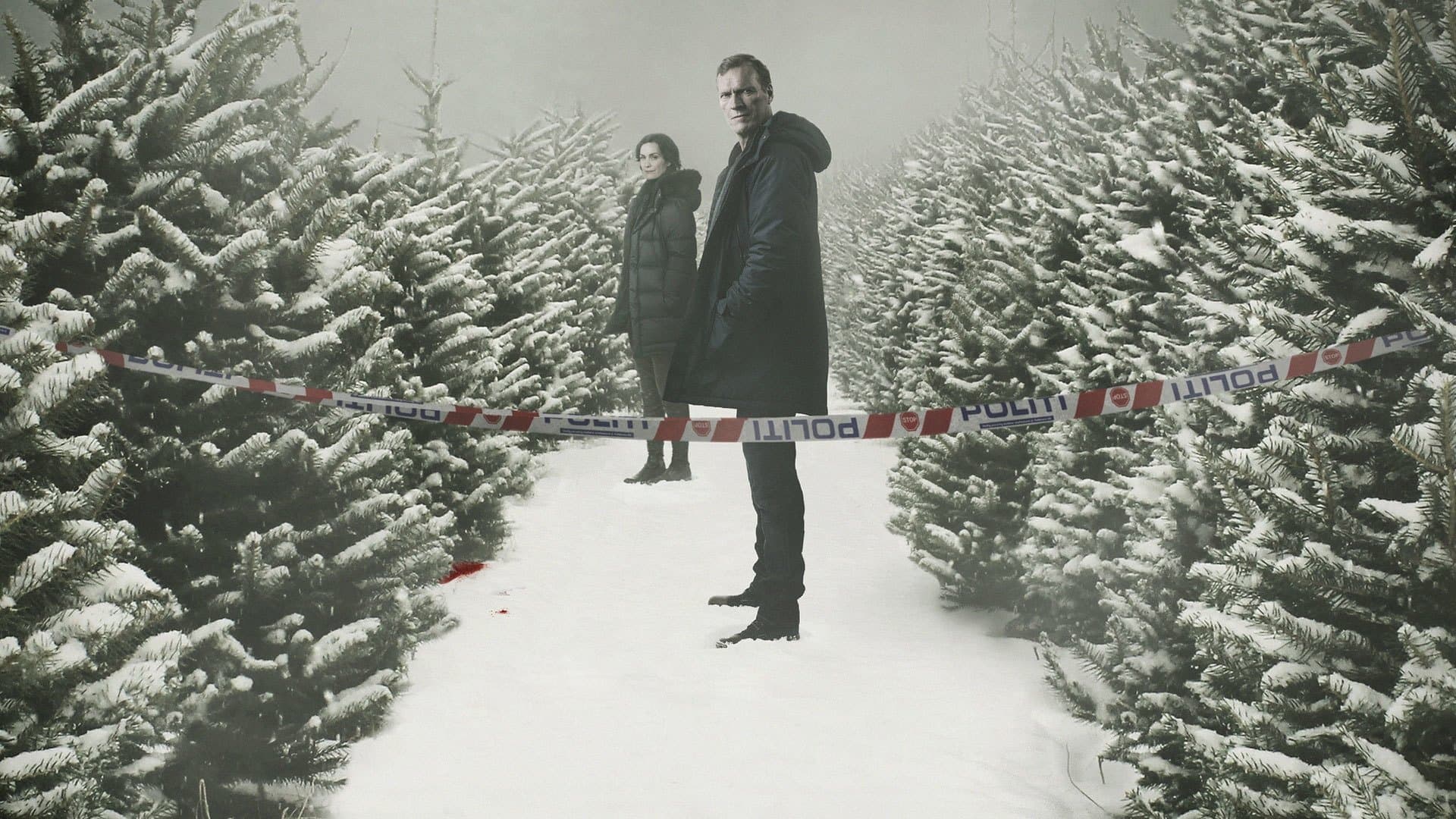 Wisting Season 1 / Комисар Вистинг - Сезон 1