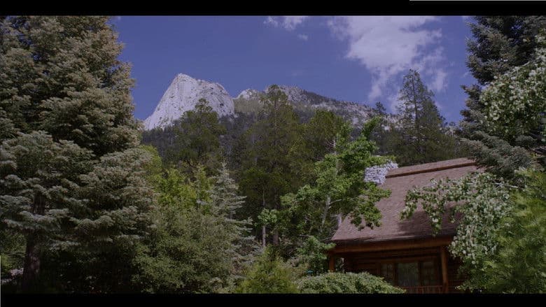 Why? / Защо? (2021)