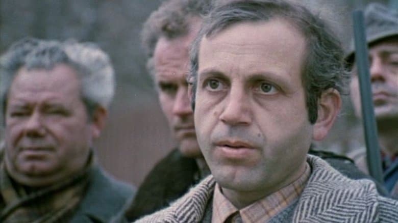 Преброяване на дивите зайци (1973)