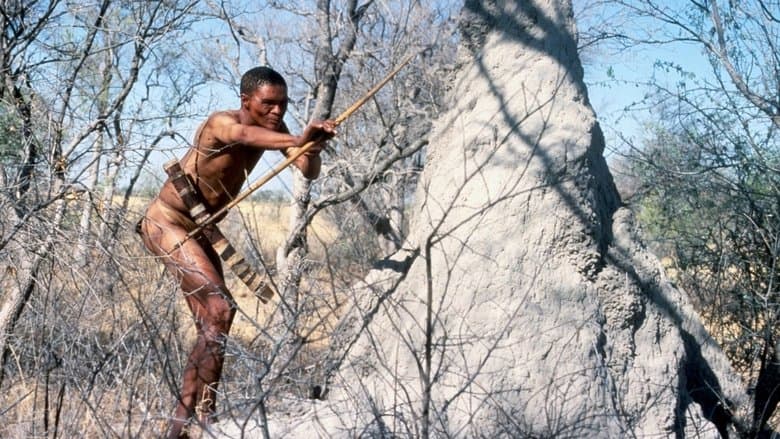 The Gods Must be Crazy / Боговете сигурно са полудели (1980) BG AUDIO